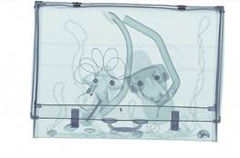 World's First Xray Animation 3