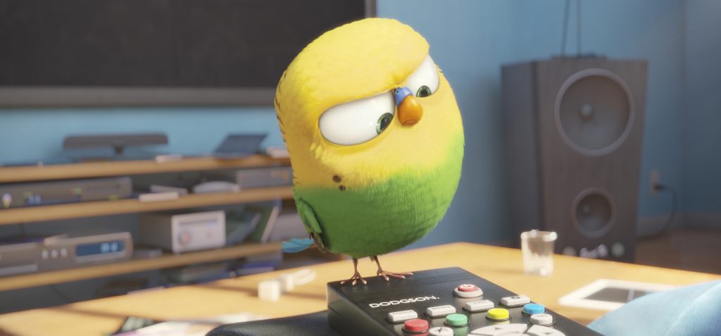 Pets_stills_3