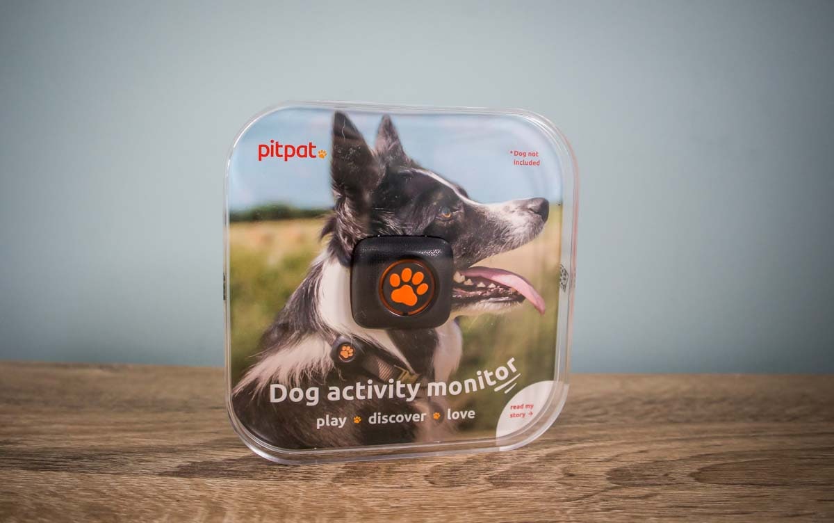 pitpat_1