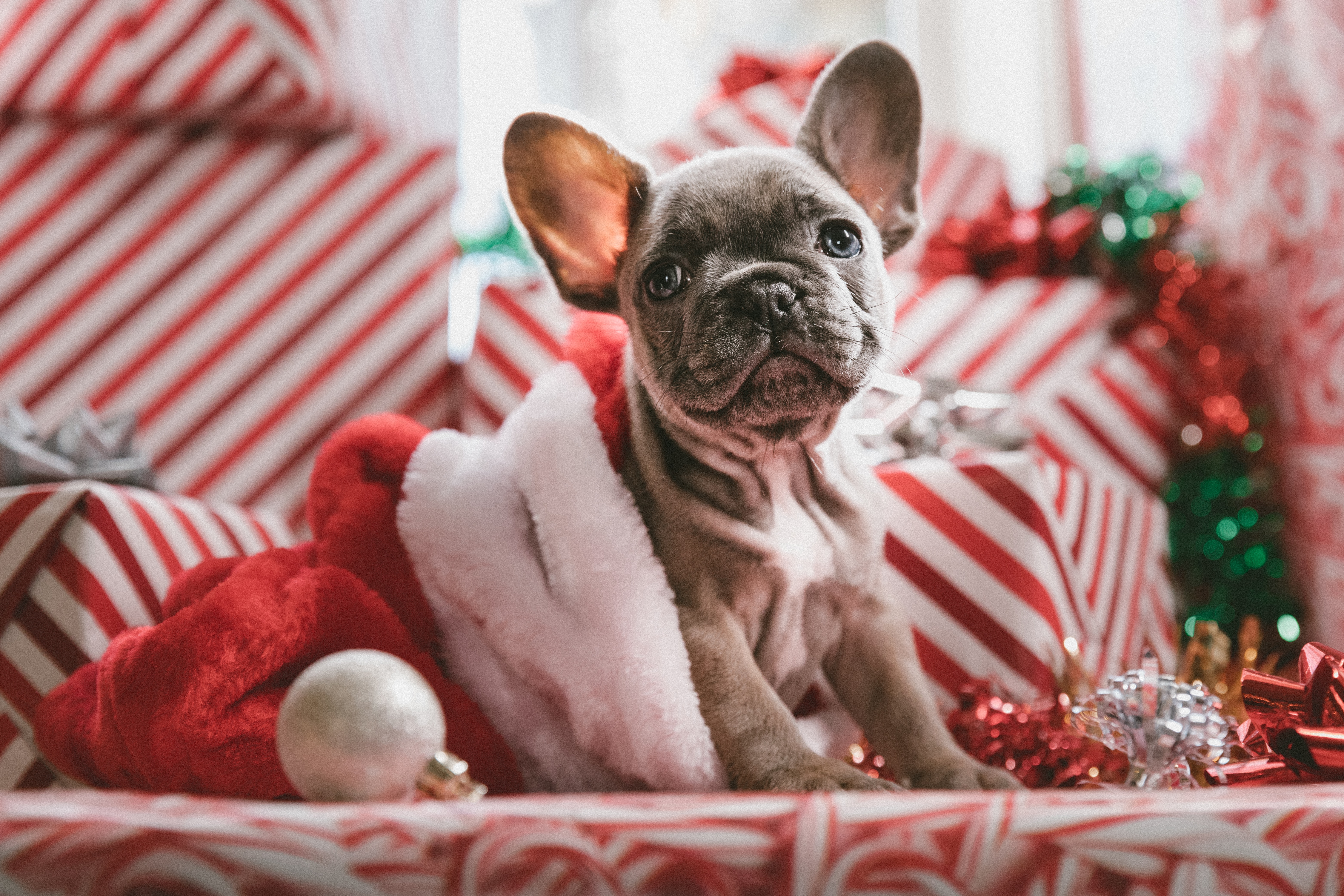christmas teech gift guide