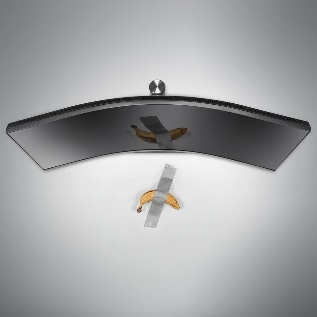 msi-curved-1